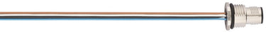 AB-C4-DSI-M12MS-PG9-0,5