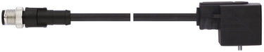 AB-C3-M12MS-[L]PUR-BI-1L-S