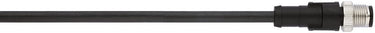 AB-C5-M12MS-[L]PUR