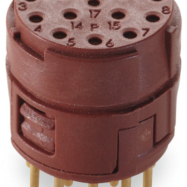 EPIC® SIGNAL M23 17P BEM (5)