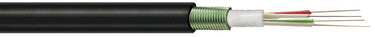 HITRONIC® HVW3000 2x12E 9/125 OS2